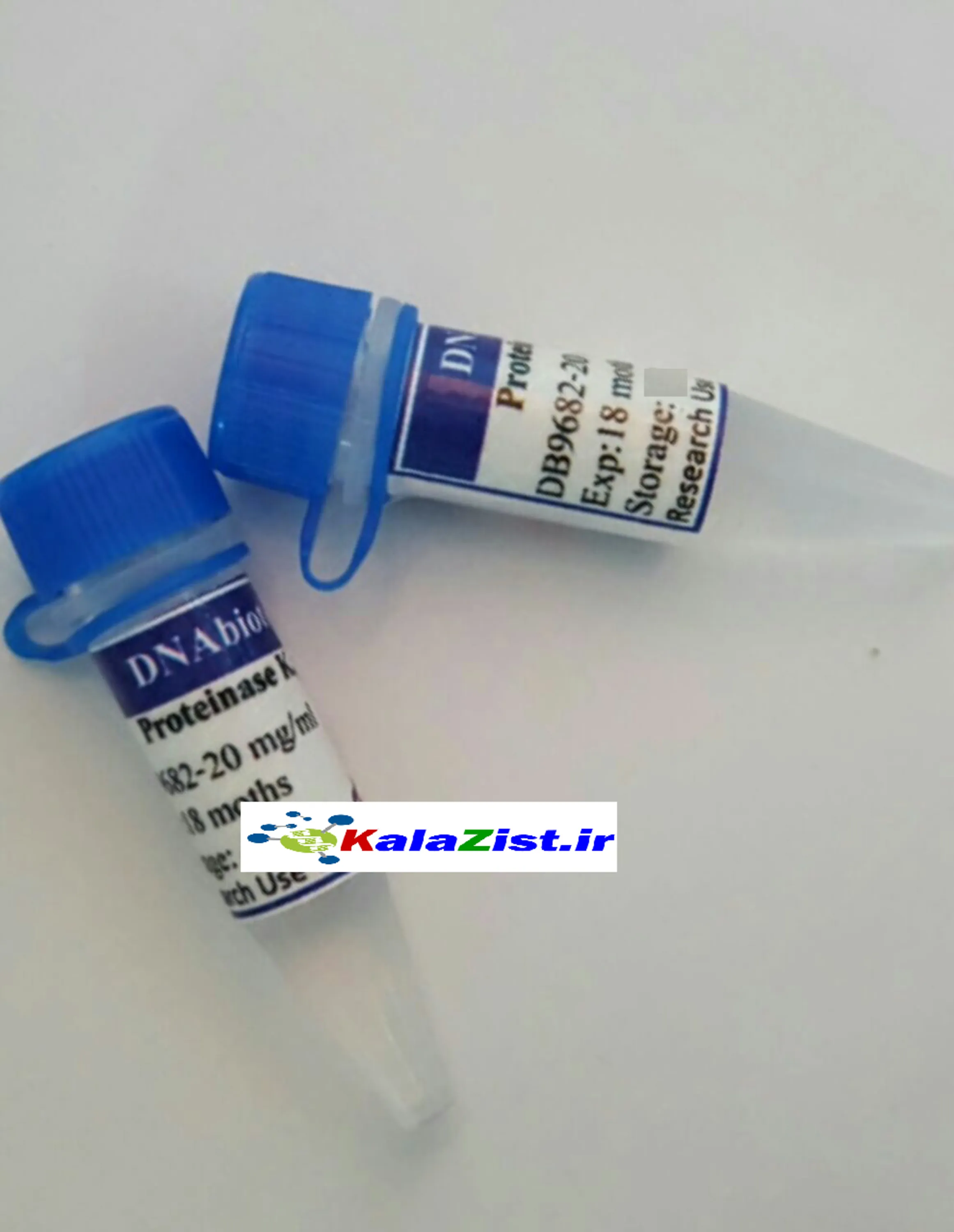 proteinase K پروتئیناز کا  kalazist 